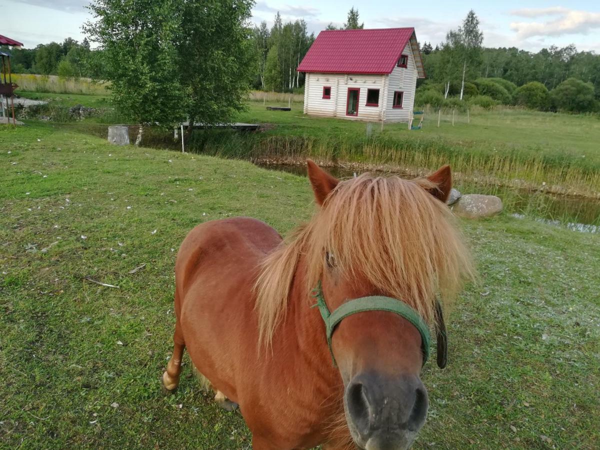 Summerland Tinuzi Екстер'єр фото