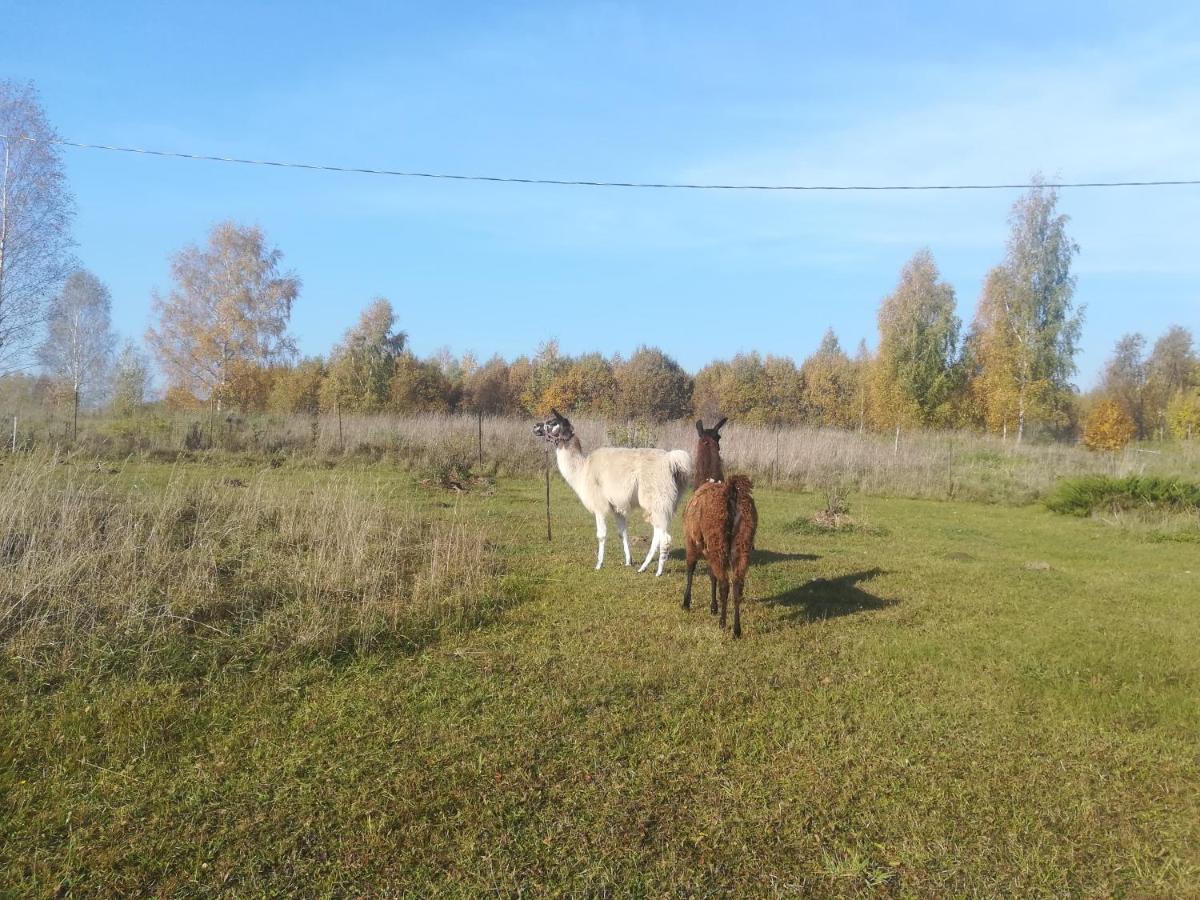 Summerland Tinuzi Екстер'єр фото